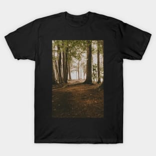 Dreamy Woodland at the Lakeside Hiking Trail T-Shirt